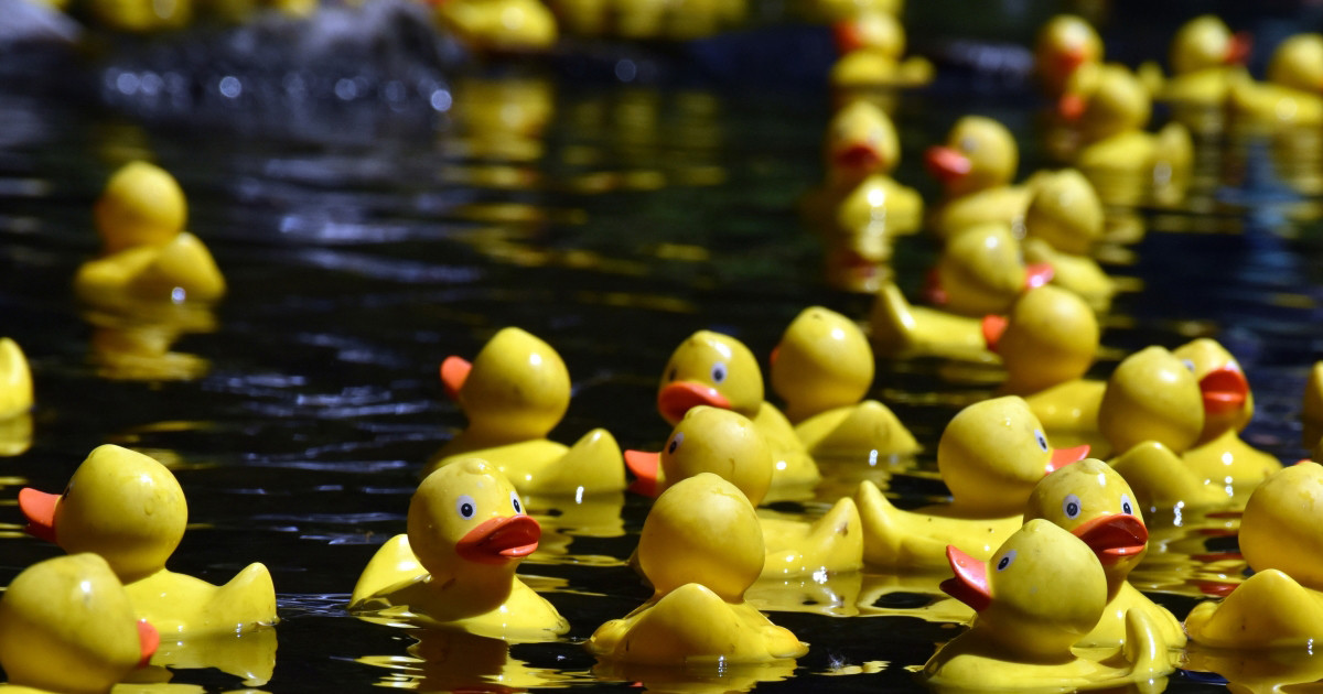 Duck Race Demo