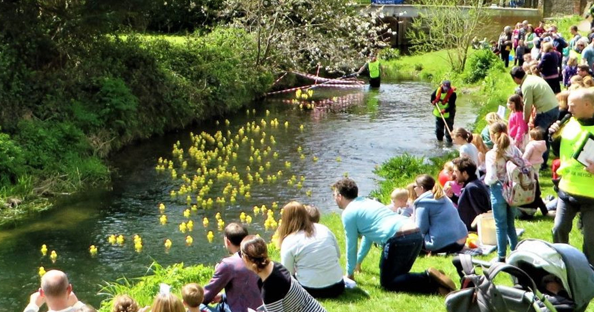 The Great Farnham Duck Race