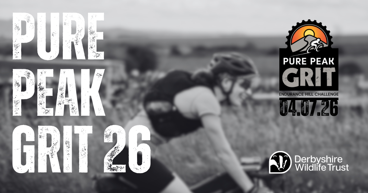 Pure Peak Grit 2026